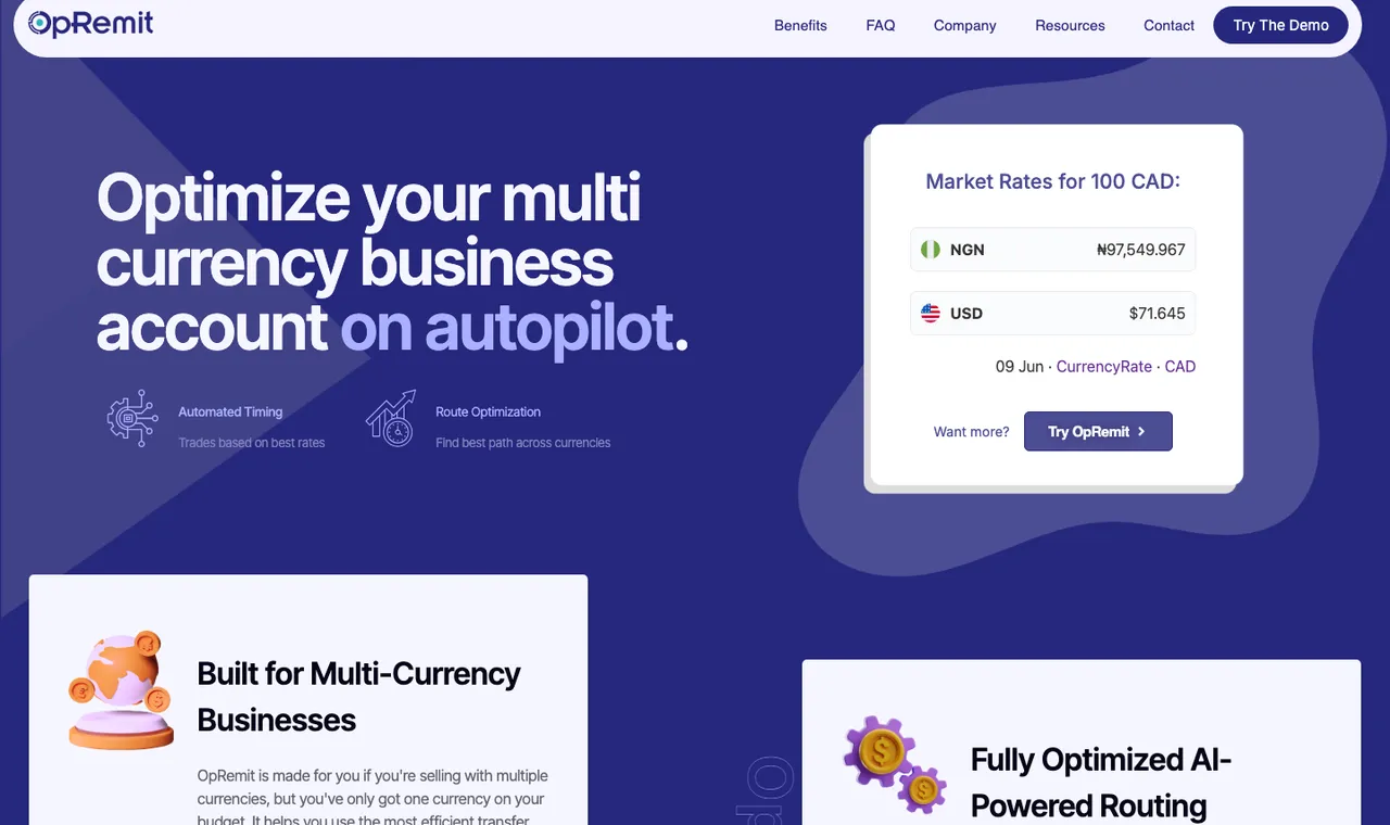 OpRemit screenshot